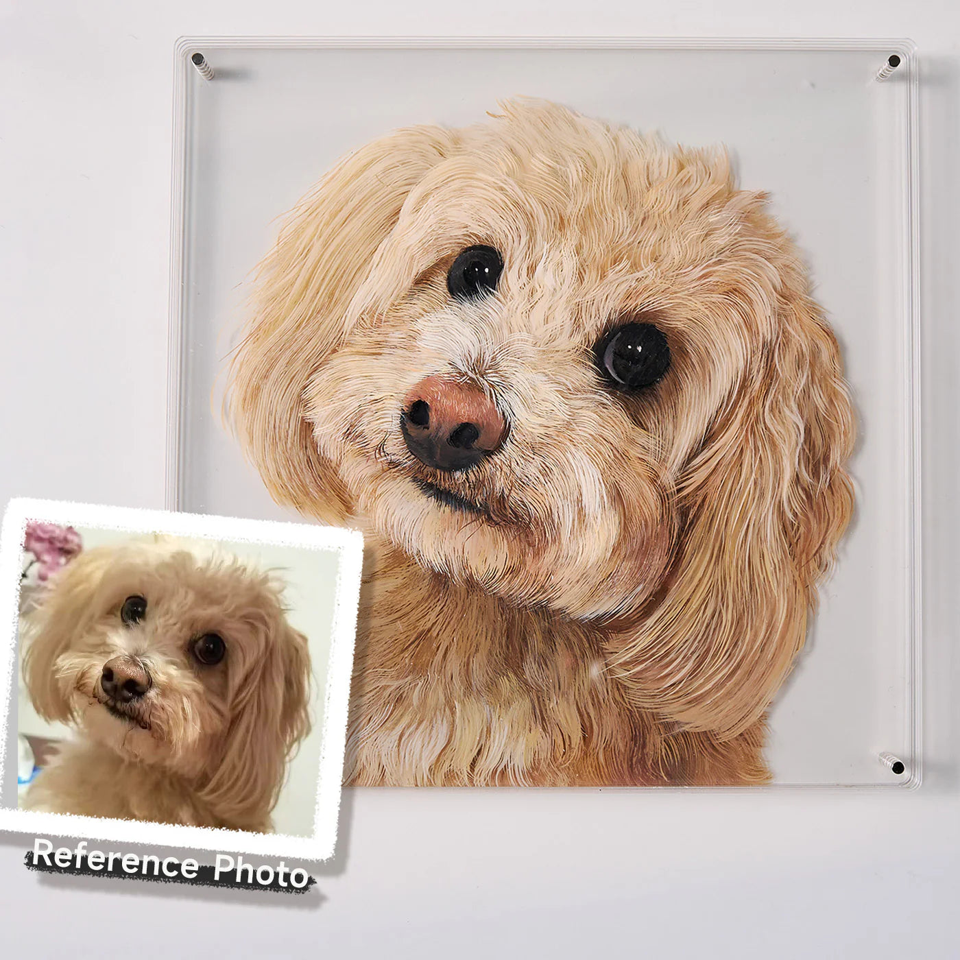 Custom pet portrait from photo of curly haired dog