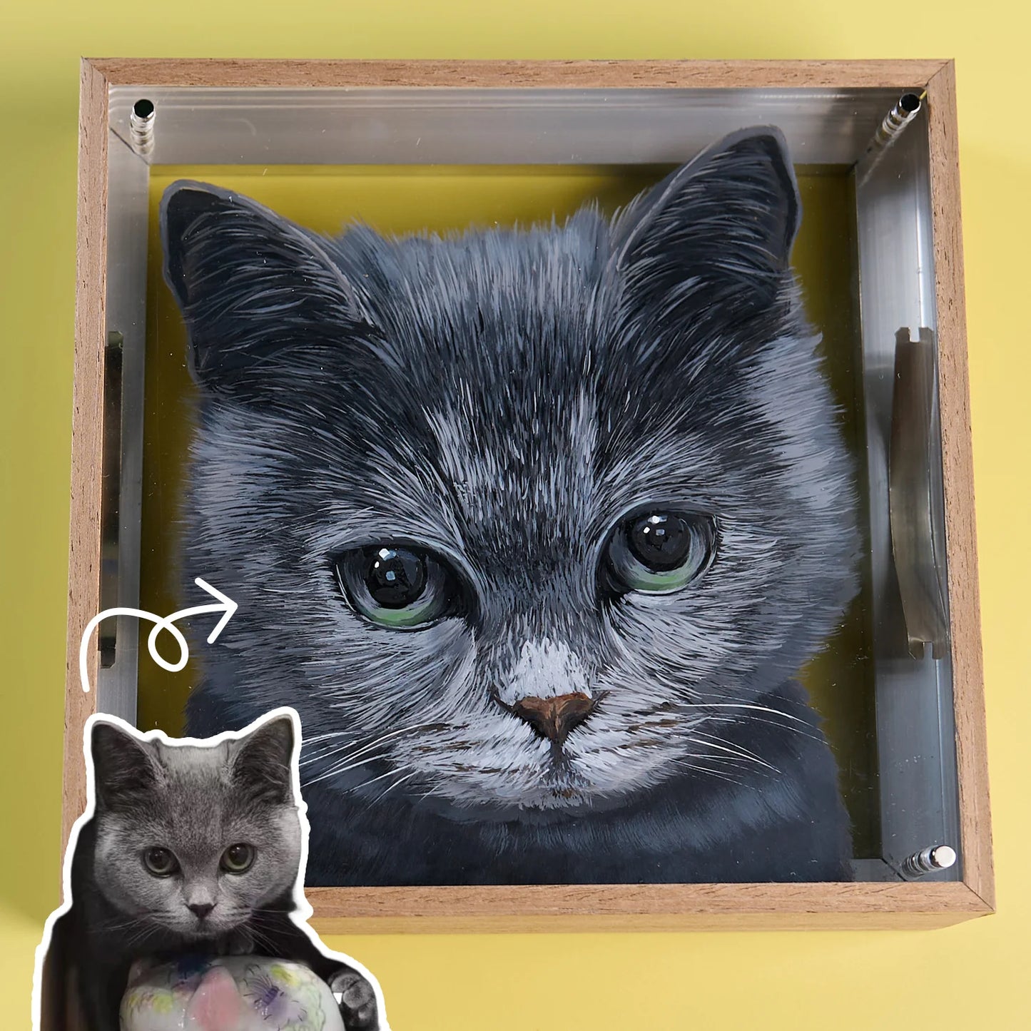 Custom cat artwork realistic black and white pet art